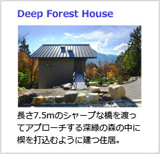 Deep Forest House
